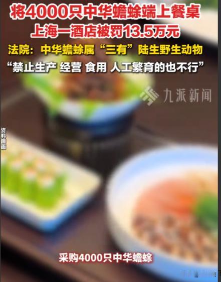 “聪明反被聪明误！”上海一家酒店为了暴利，40天内疯狂购入4000只中华蟾蜍，加