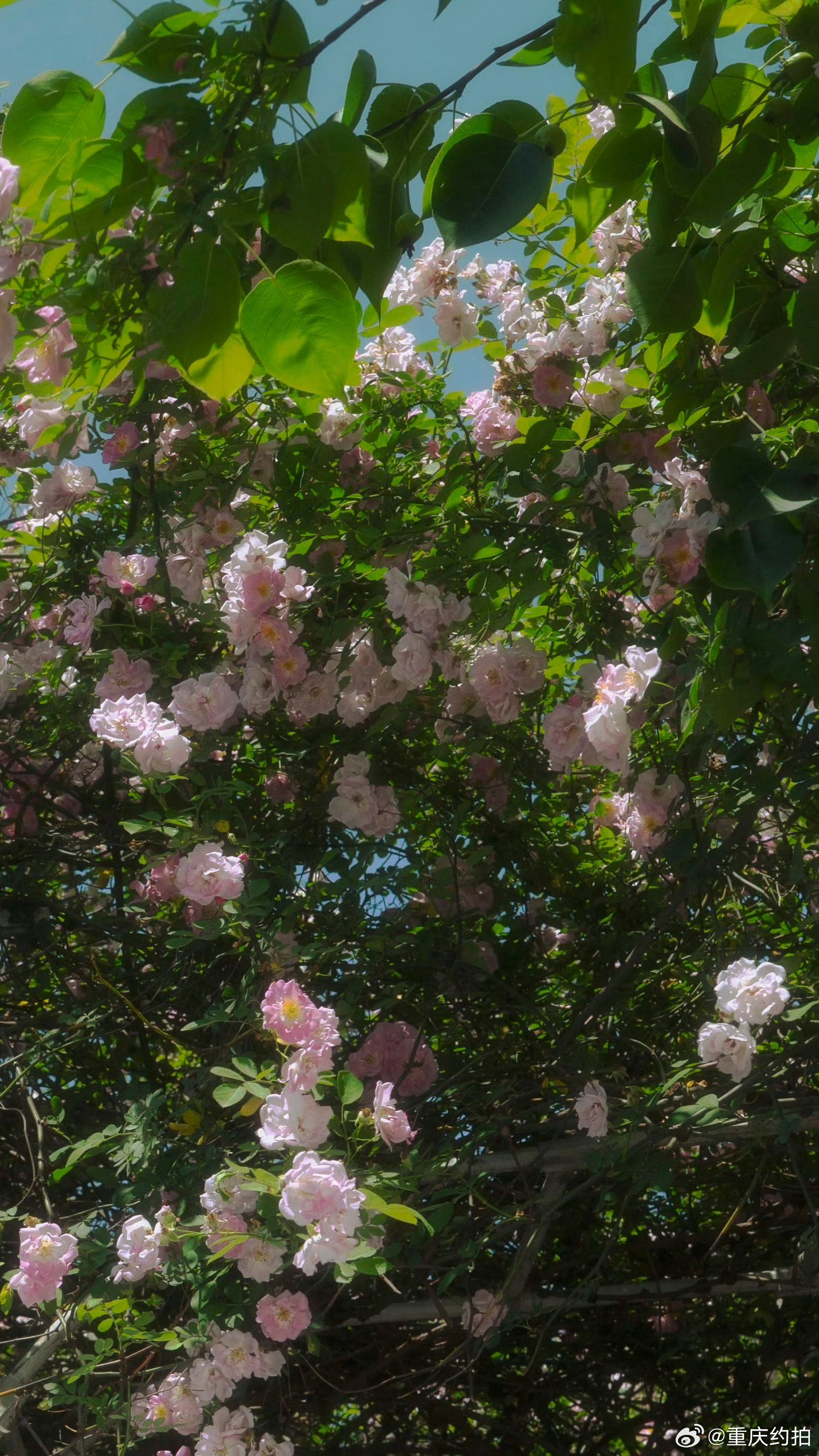 𝙸𝚝'𝚜 𝚊𝚕𝚠𝚊𝚢𝚜 𝚠𝚘𝚛𝚝𝚑 𝚝𝚊𝚔𝚒