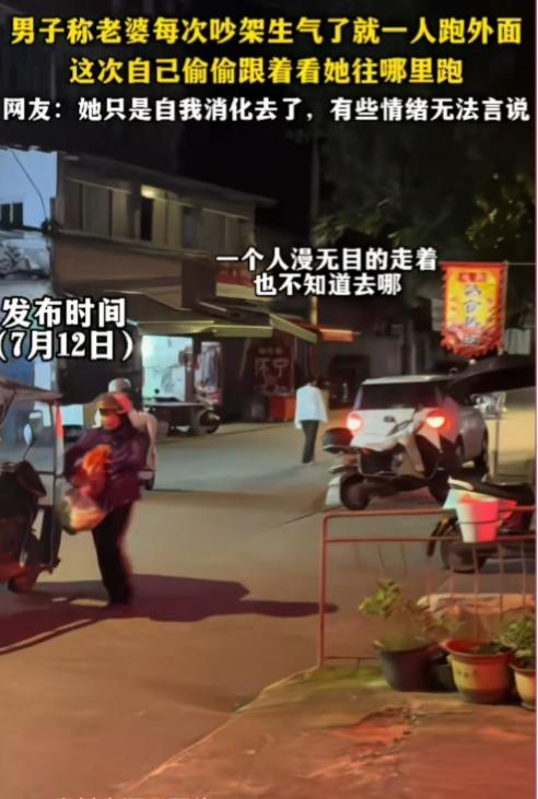 看着满心酸涩！她独自消化情绪，劝自己原谅丈夫，结果丈夫在后面偷偷跟着她，笑话她无