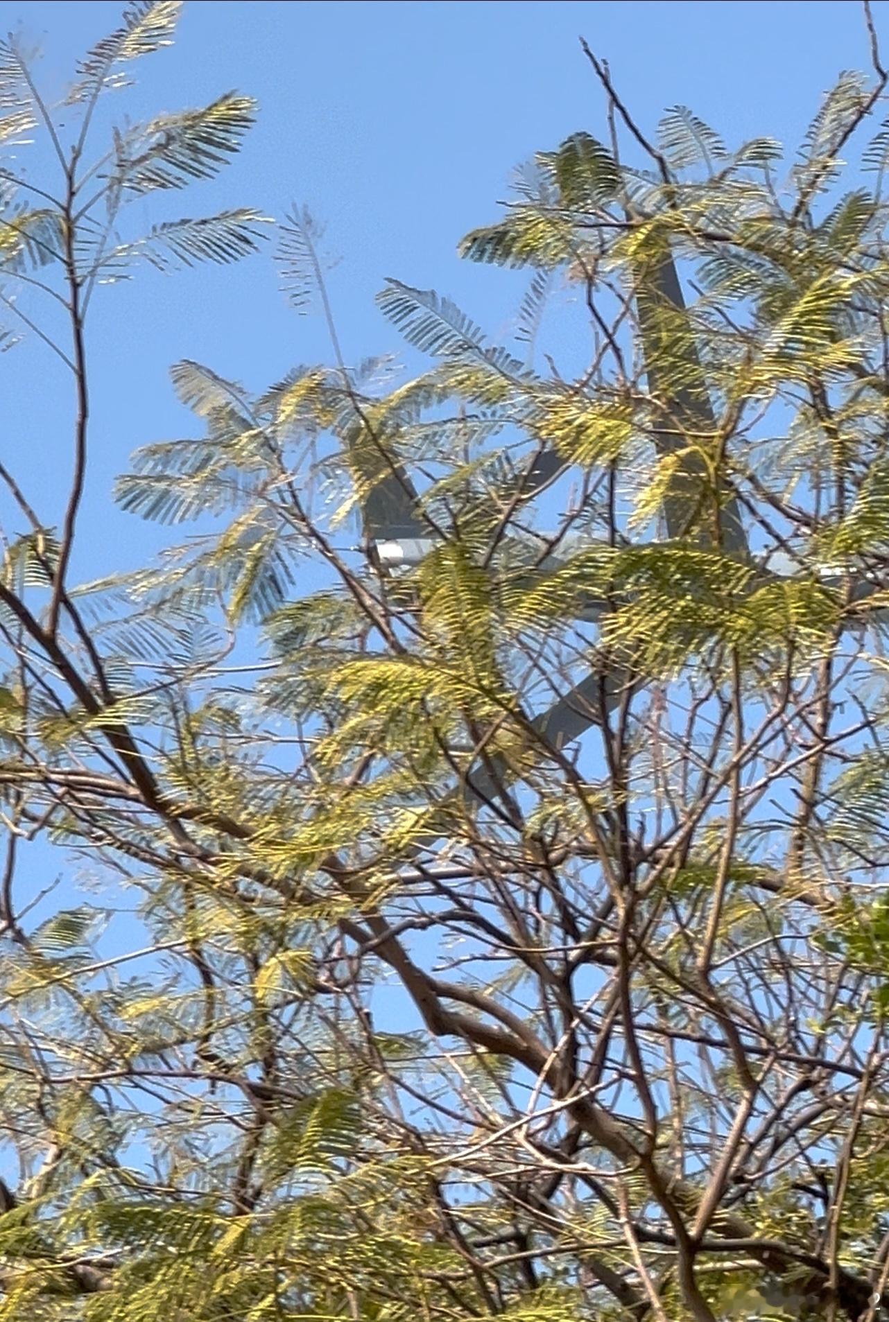 他在丛中笑我们的无人机我军无人作战系统烽火问鼎计划