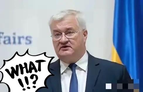 乌克兰突然放出一个重磅消息直接震惊不少人，乌克兰内阁正式宣布，一口气终止和俄罗斯