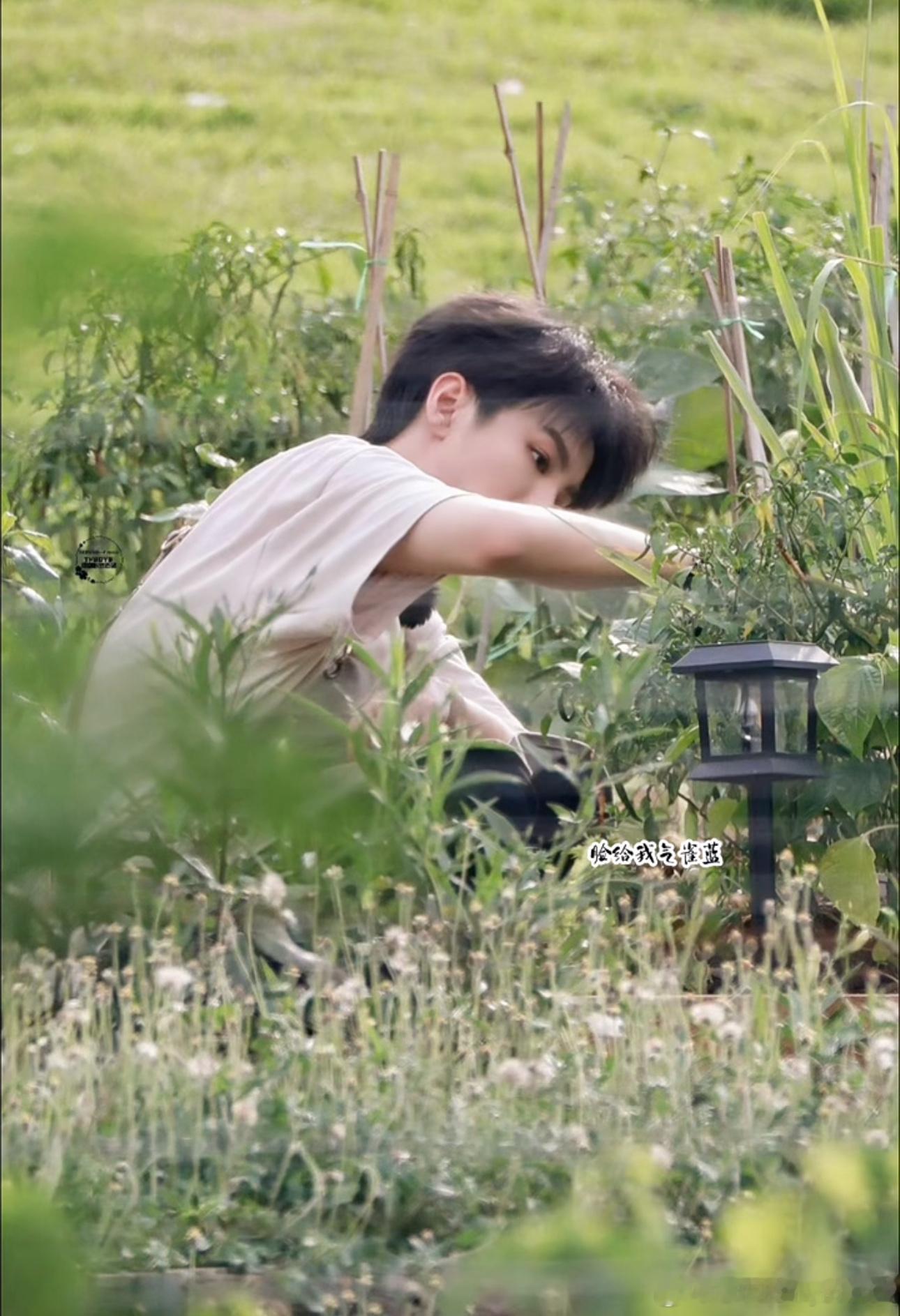 王俊凯  好美好的画面王俊凯 中餐厅10