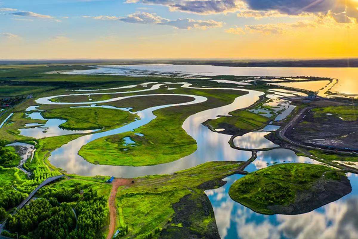 最近油价一波一波上涨，很多人开始焦虑：以后出行成本是不是会越来越高？

但我反而