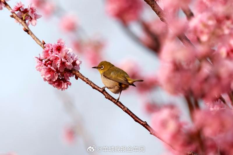 #早安# 像种子破土，不惧寂寞；像万物生长，无畏风雨烈阳。将焦虑化作行动，在阅读