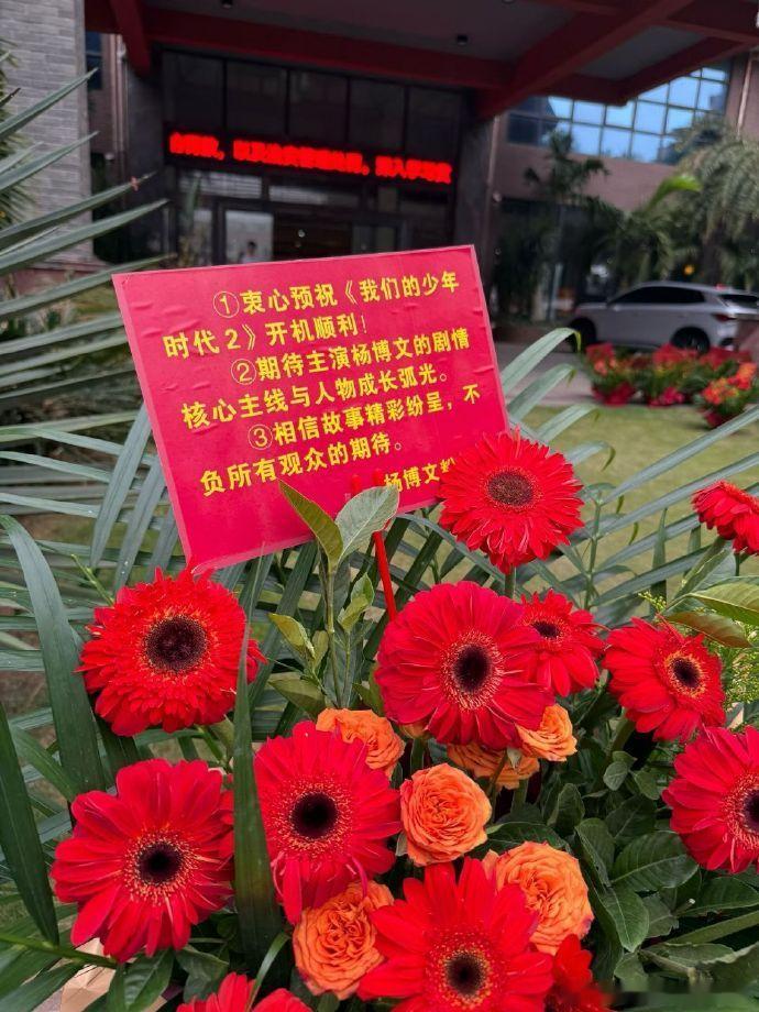 我们的少年时代2开机了我们的少年时代2开机花篮 我们的少年时代2开机了，我们的少