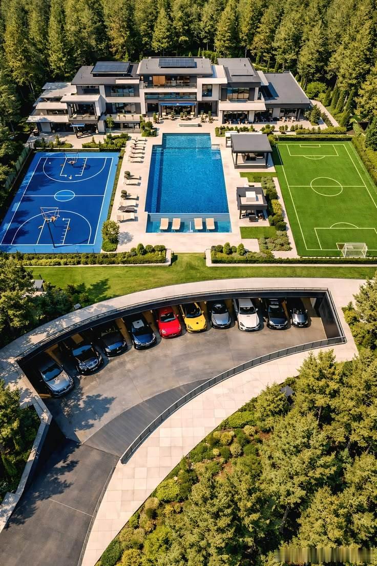 X上面激烈讨论的话题：什么样的工作可以支撑买这个房子？森林附近三层独立屋，游泳池