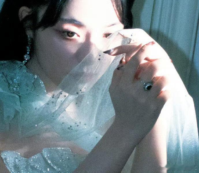 李莎旻子 又可以在红毯集邮啦  红毯上的李莎旻子，每一次出现都是一次美丽的集邮。