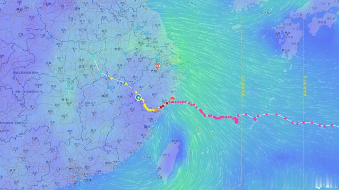浙江来回穿梭，这是还挺留恋的？白海豚突然大拐弯