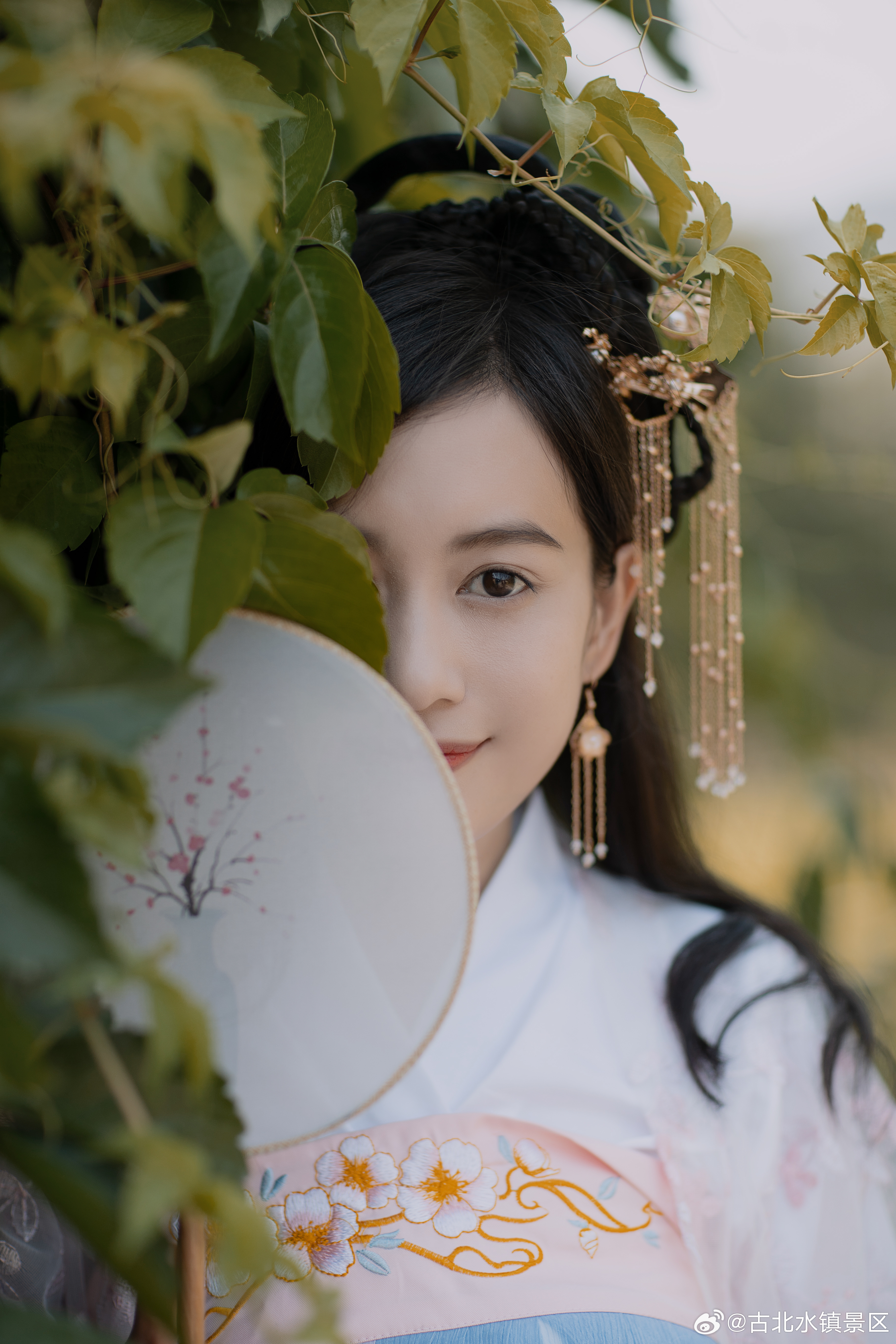 不忙不慌，不悲不喜，静心度日，温柔前行。早安，宝子们~#司马台长城# #古北水镇
