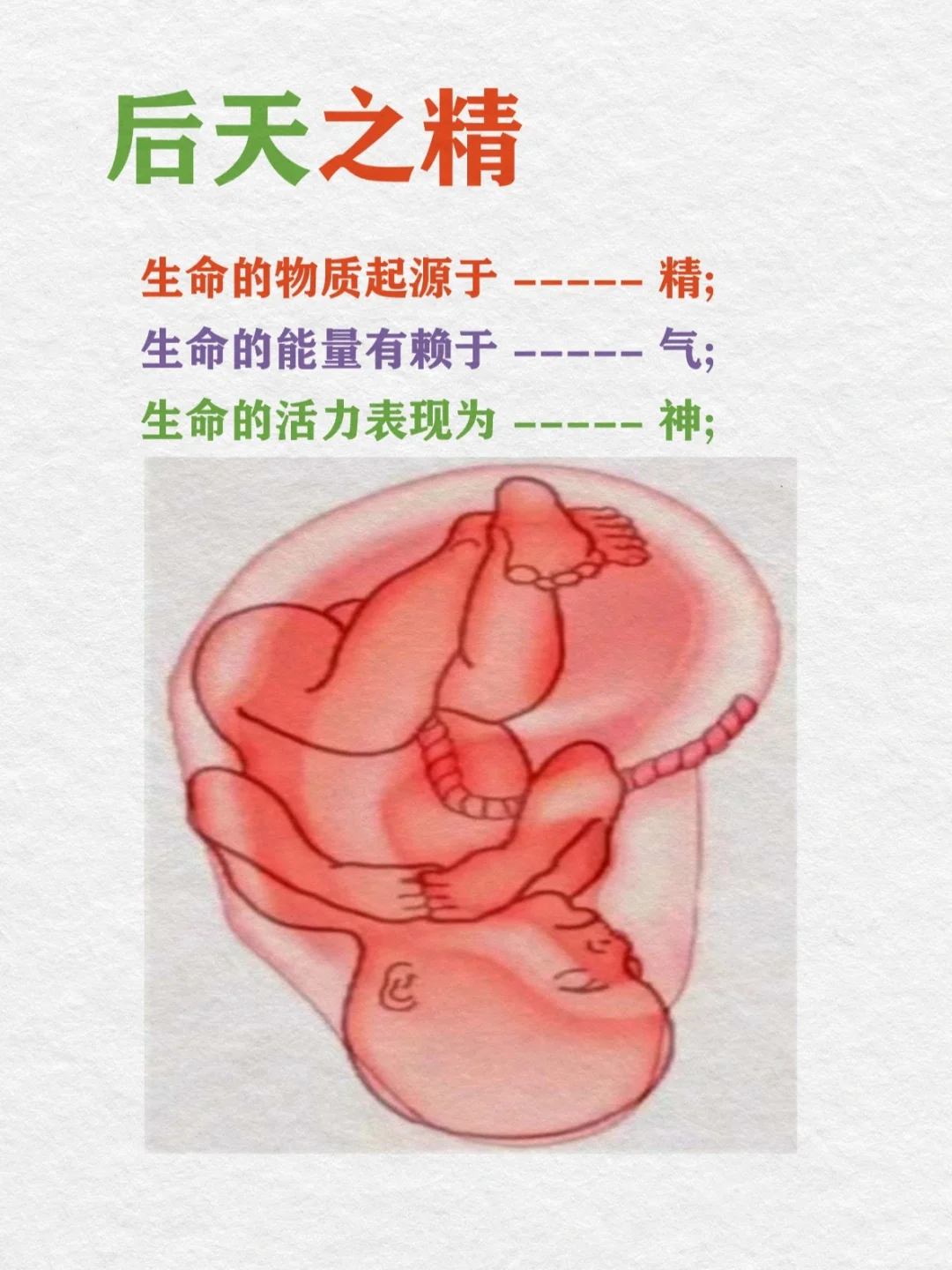 03.后天之精｜先天之精和后天之精那个重要