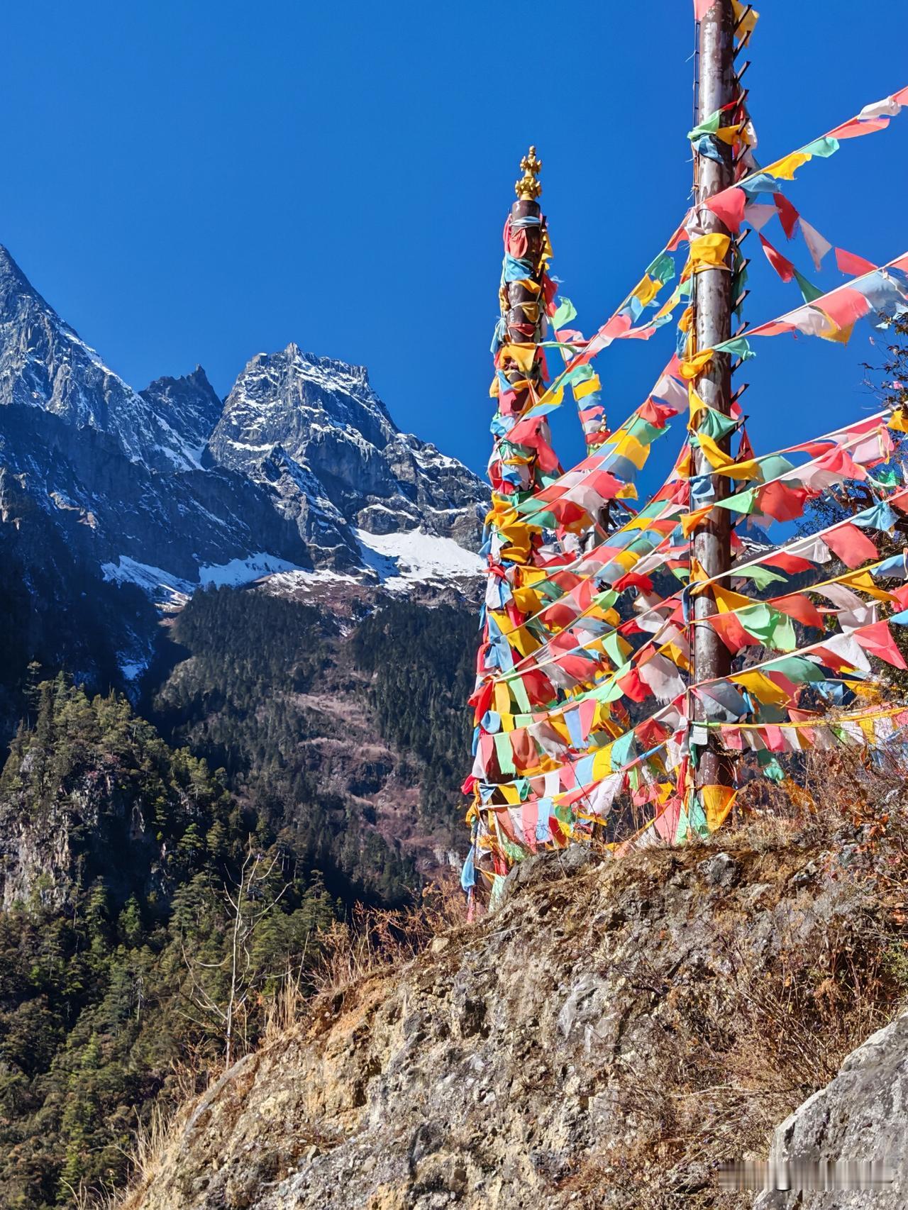 按自己的节奏，做喜欢的事，来日并不方长，活在当下，即是最好[玫瑰][玫瑰][玫瑰