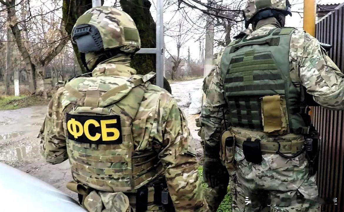 【FSB拘捕一名企图烧毁战机的间谍】
     FSB克拉斯诺达尔边疆区分局发布