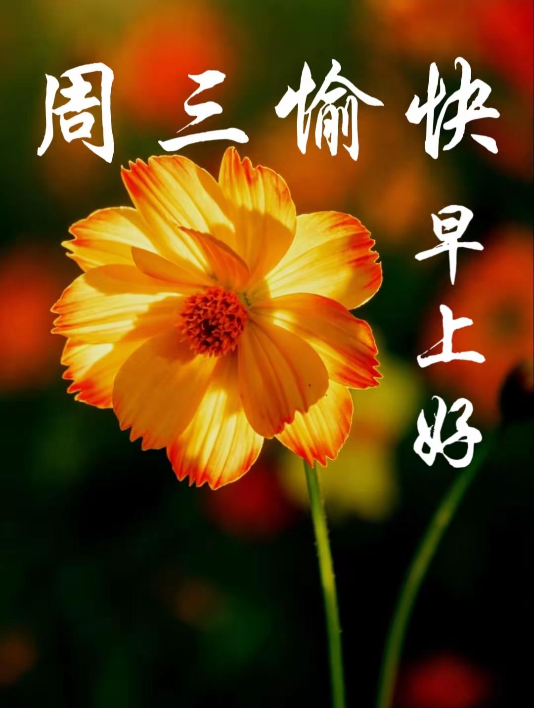 新的清晨，也是新的开始☀️
 
生活难免有疲惫与失意，学会自我打气格外重要。
不
