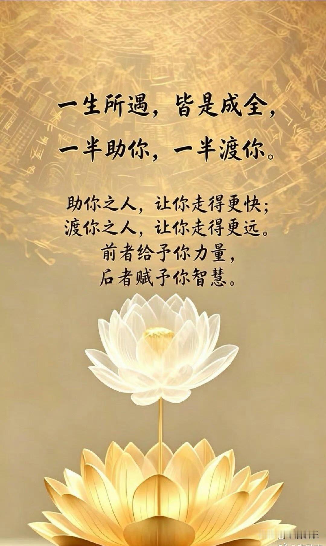 20260723

今天上午行情又是一般般，指数小跌，个股涨的不少，实际3225