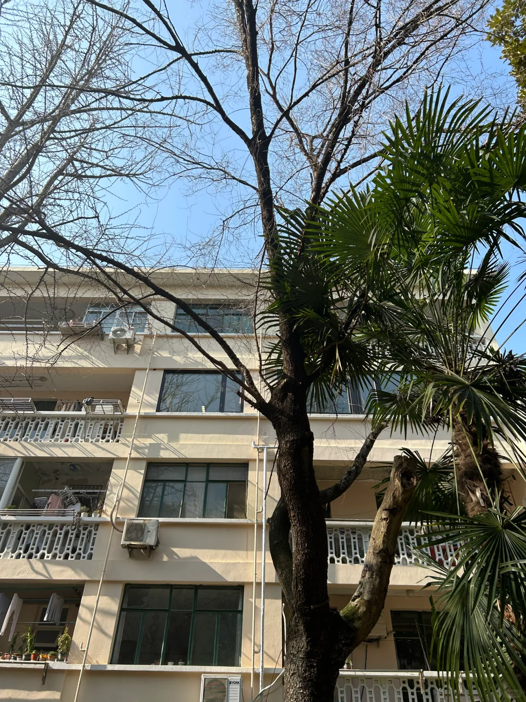 康平路100弄