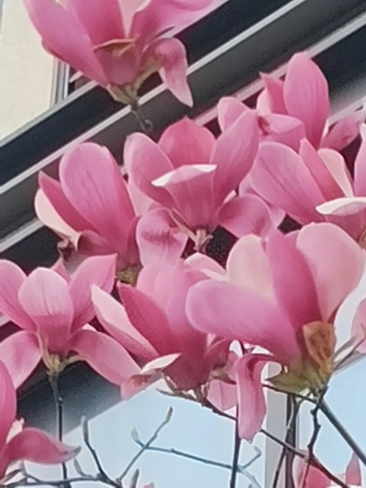 风景如画，不如有人牵挂，阳光明媚，不如有人安慰！一个问候，让快乐启航，一个祝福，