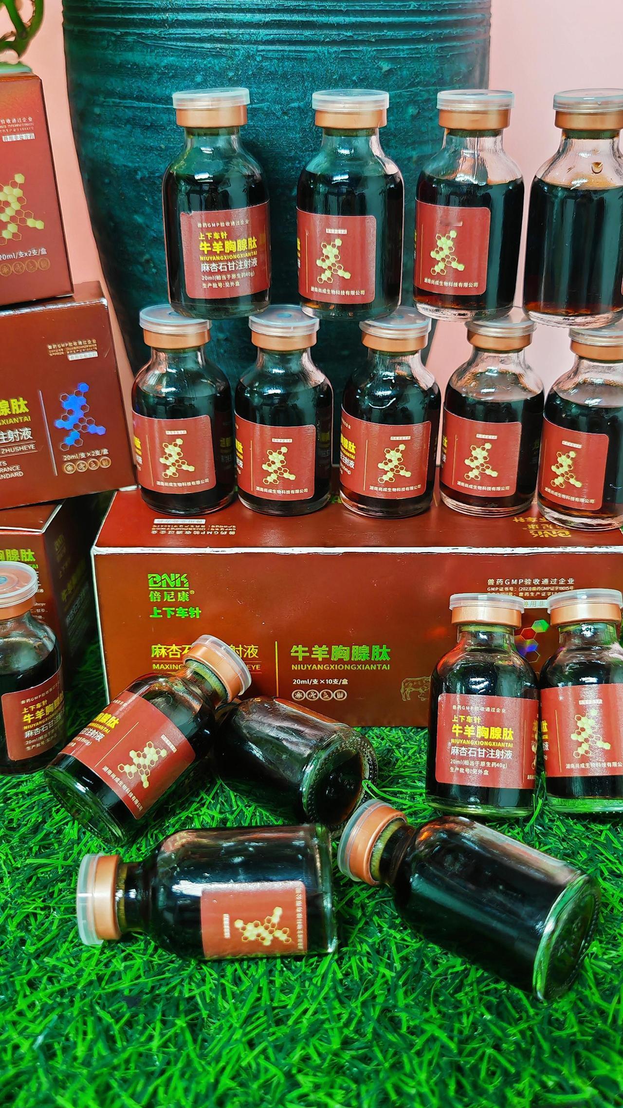 养羊人 农村养羊 牛羊养殖