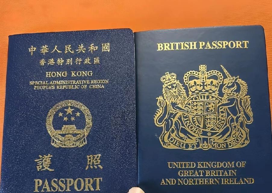 新消息，英国政府扩大接收香港移民！
英国政府9日发表了强化接收来自香港的移民态势