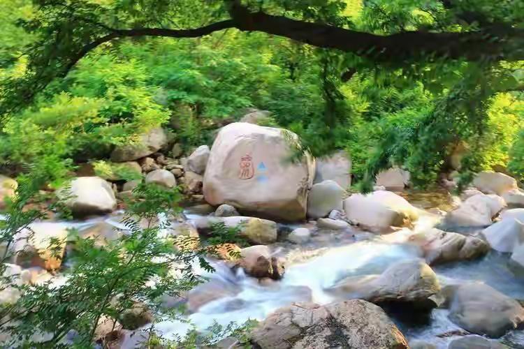 农村为什么没有植物人？

前几天刷到一个帖子，说终于明白为什么农村没有植物人了，