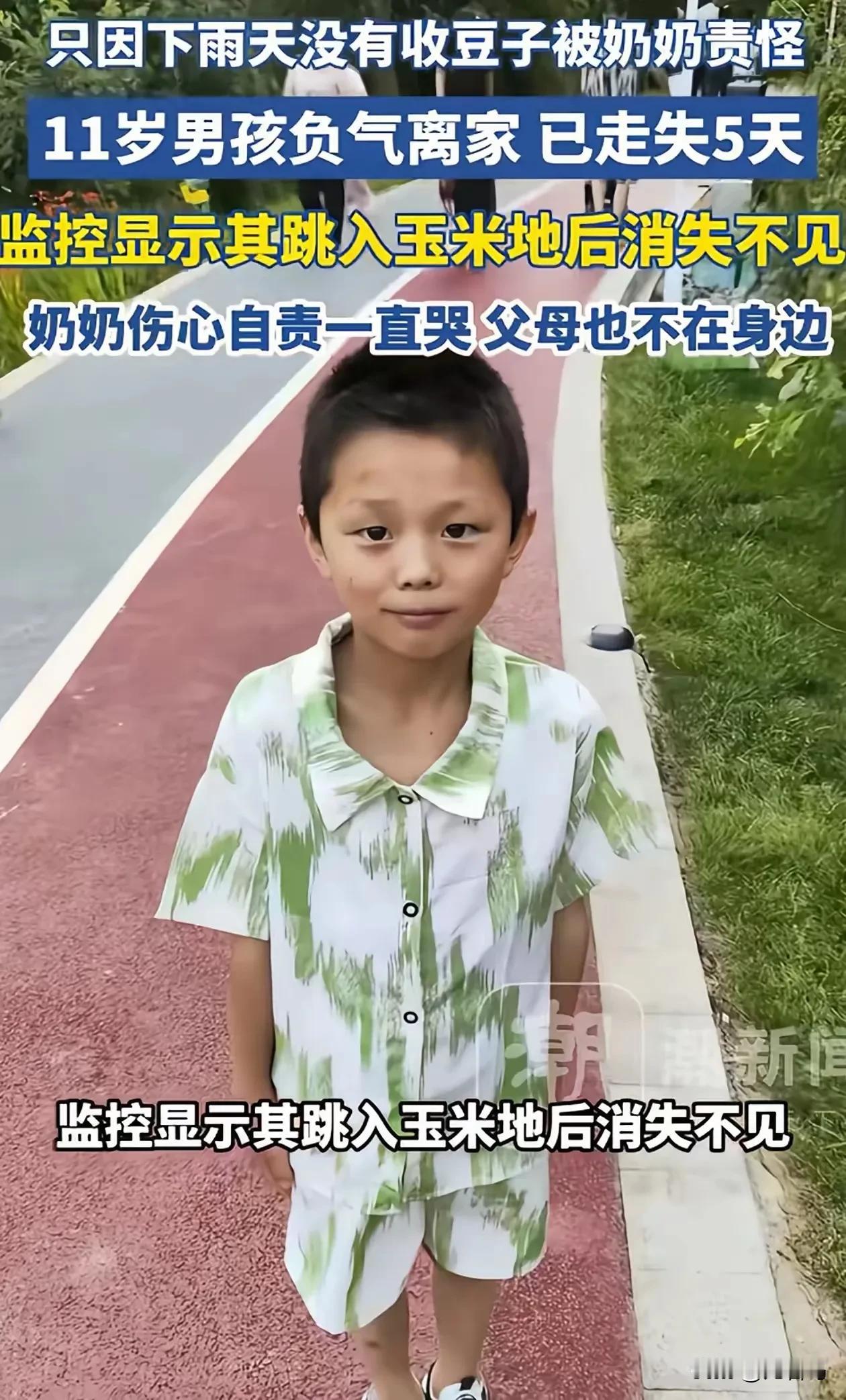 担心的事情还是发生了！云南昭通，11岁男孩因为忘了帮奶奶收豆子，被奶奶责怪几句，