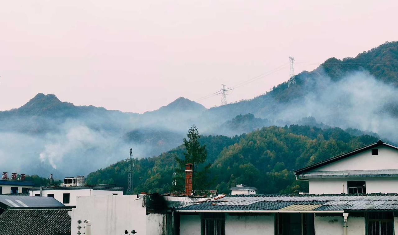 风藏诗意，叶绘情怀，渐黄的落叶诉说生命历程
