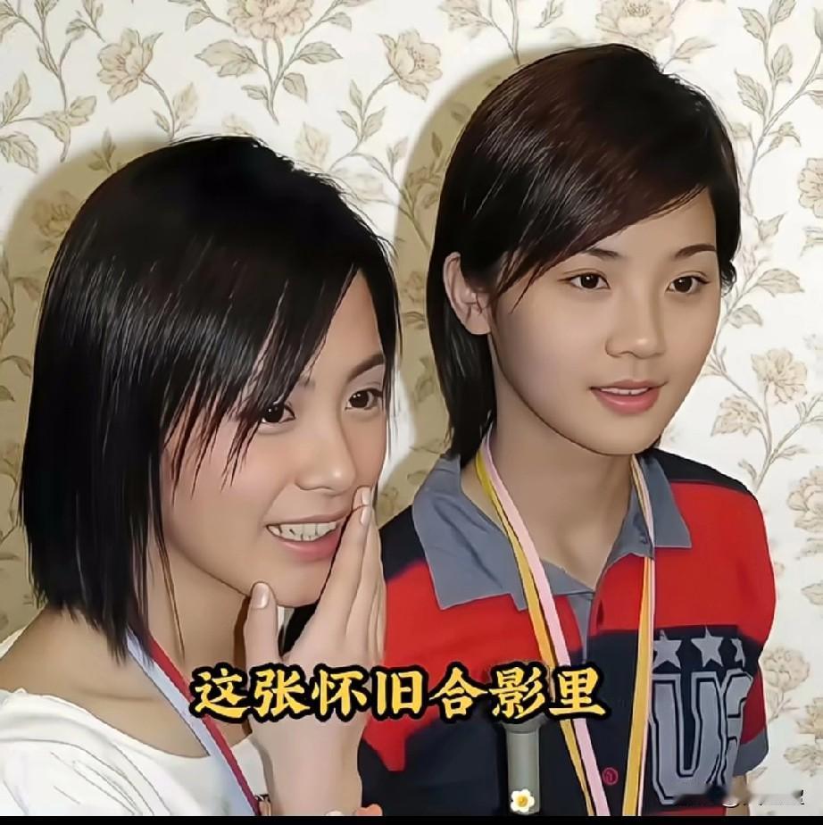 这张怀旧合影里，
两位少女笑容青涩。
她们曾以组合陪伴许多人成长，
如今各自发展