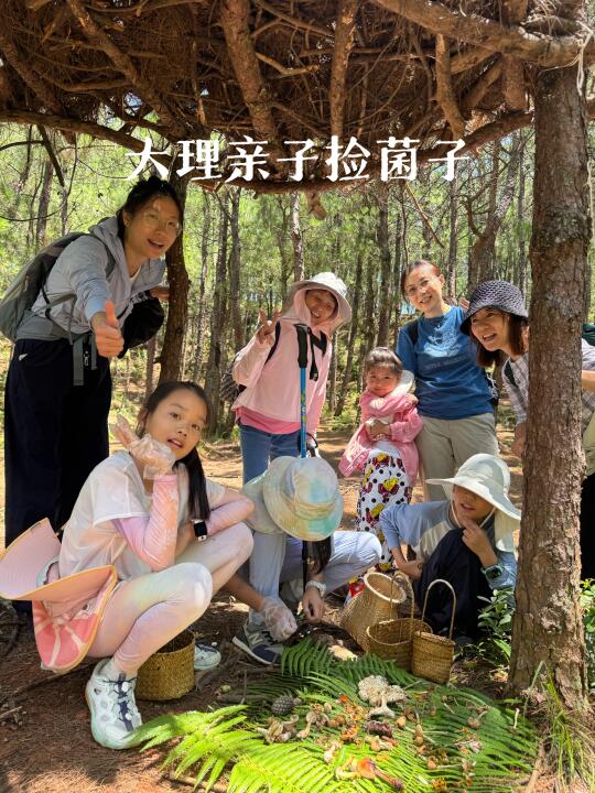 大理亲子捡菌子，又是快乐的上午