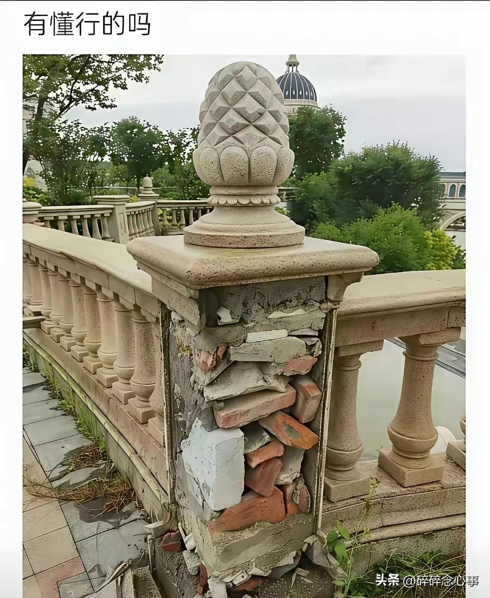 这是不是驴屎弹子外面光[笑哭]