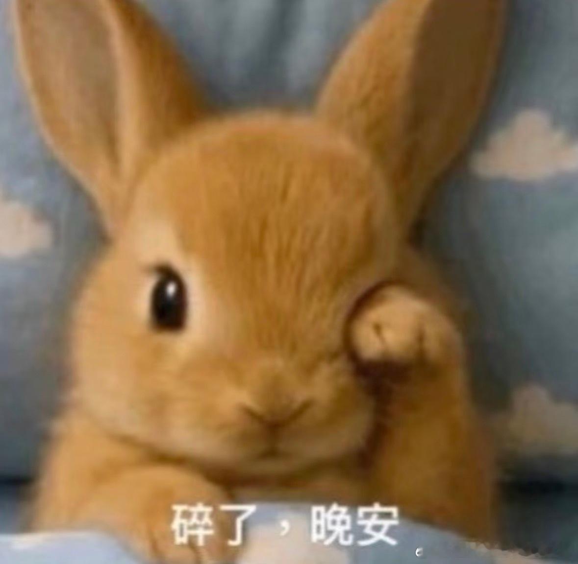 今天有点emo睡前想了好多以前的事但是得睡了不然起不来了 