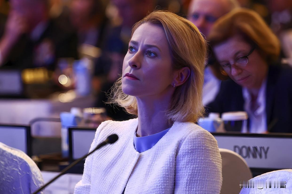 作为姐妹，卡娅·卡拉斯没理由看着弗雷泽里克森被特朗普恐吓吧？特朗普直接就开口索要