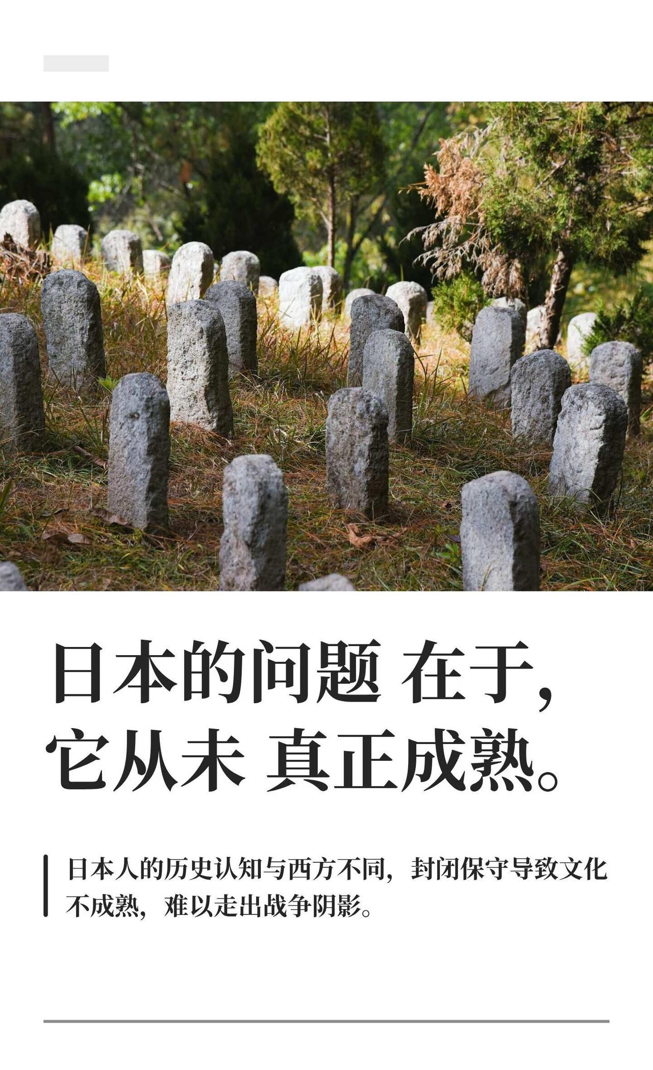 日本的问题在于，它从未真正成熟。