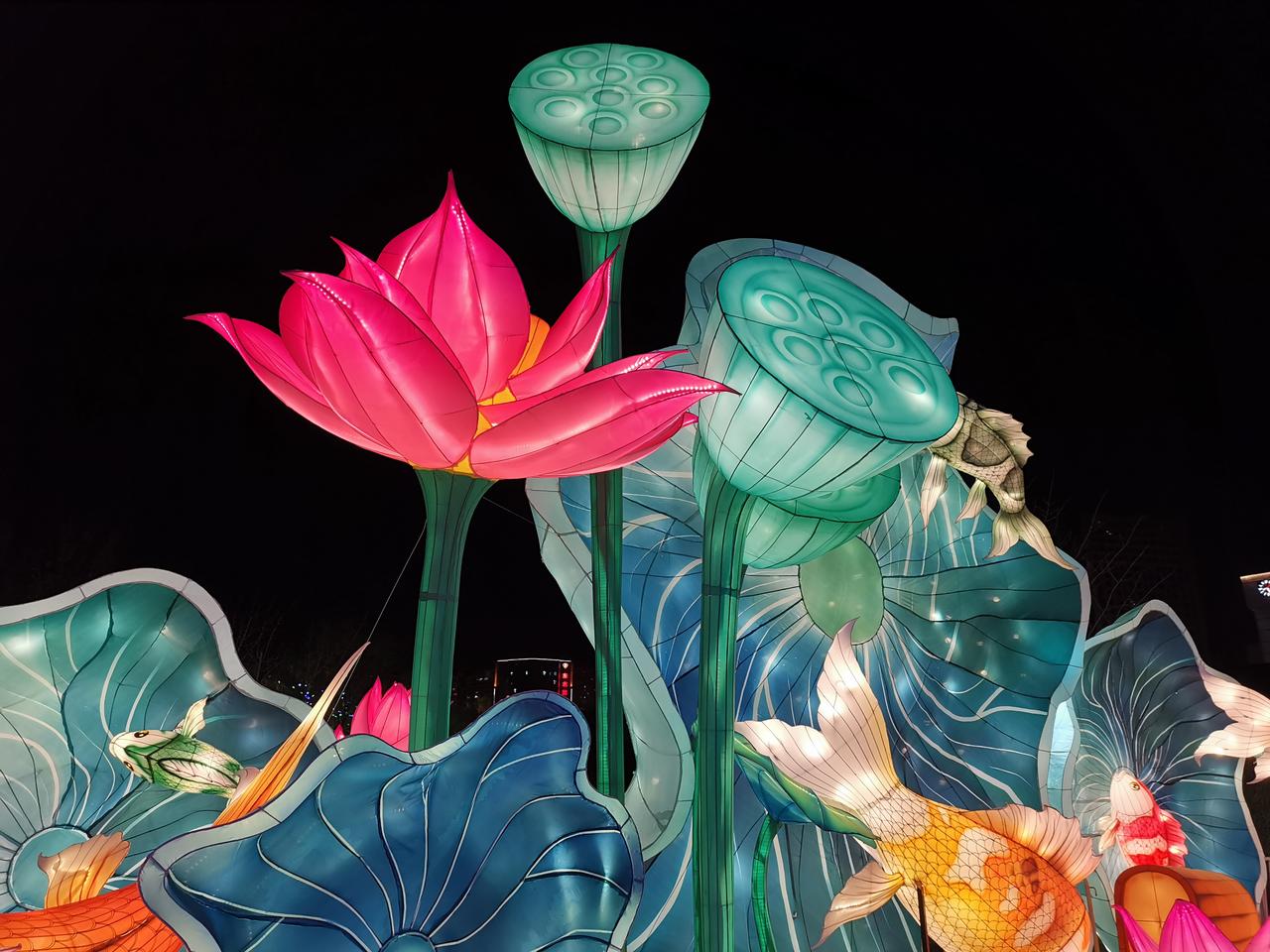 【心态好，人缘就好，因为懂得宽容；心态好，做事顺利，因为不拘小节；心态好，生活愉