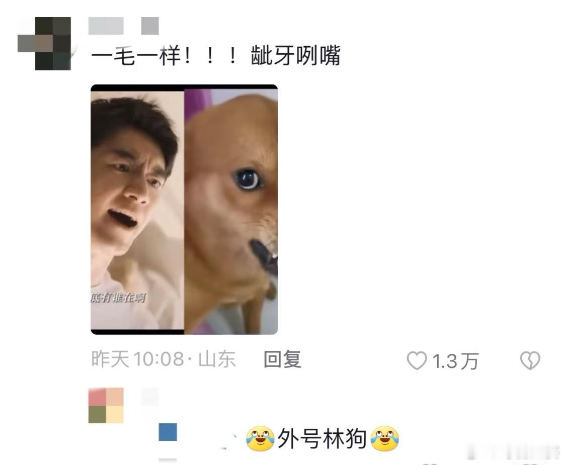 林更新：骂我就是给我送弹药！霍建华：骂我？我退网了勿扰。 