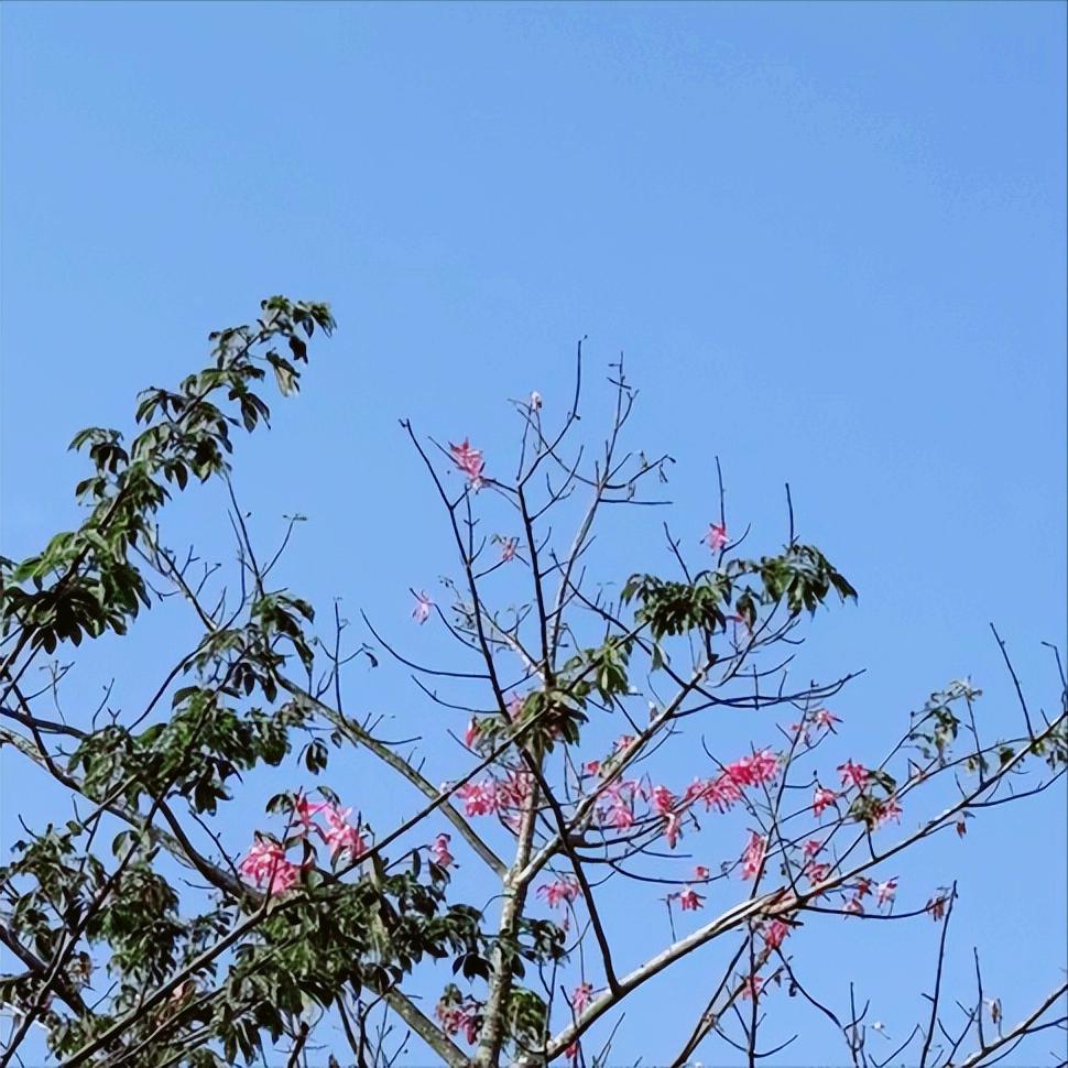 国务院安委会安全生产第十三考核巡查组在江苏明查暗访发现7个问题
 
11月-12