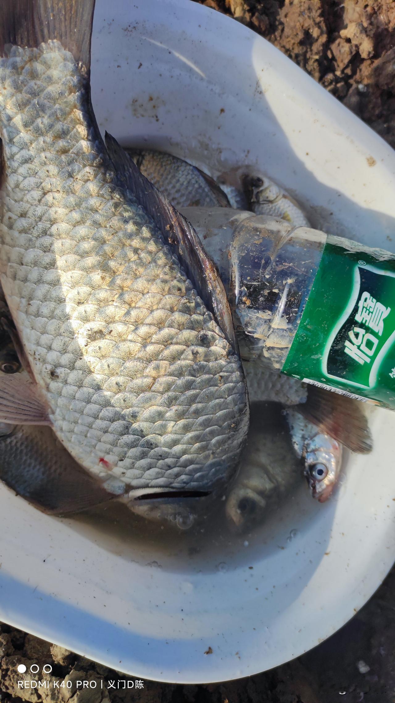 钓小鱼真没意思，还容易受伤[笑哭][笑哭][笑哭]
我一个朋友昨天把手弄伤了，就