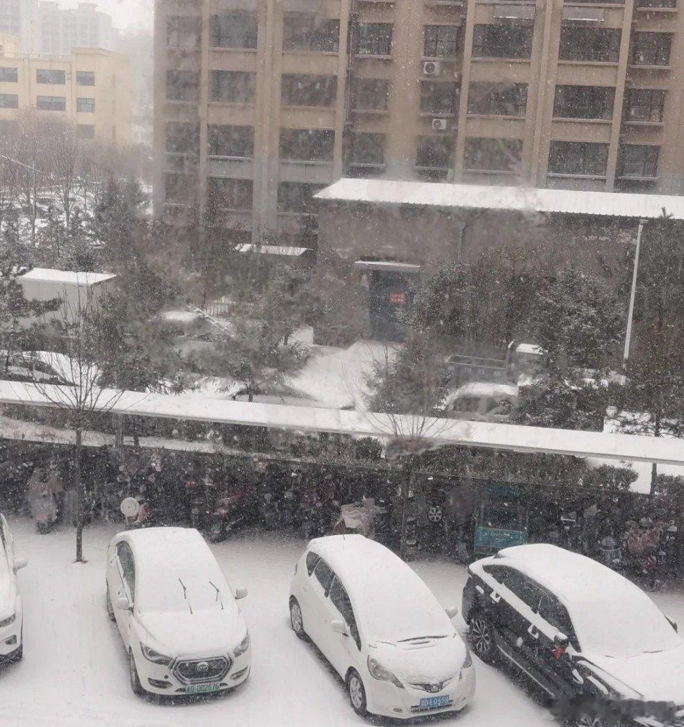 今天哪都下雪了 