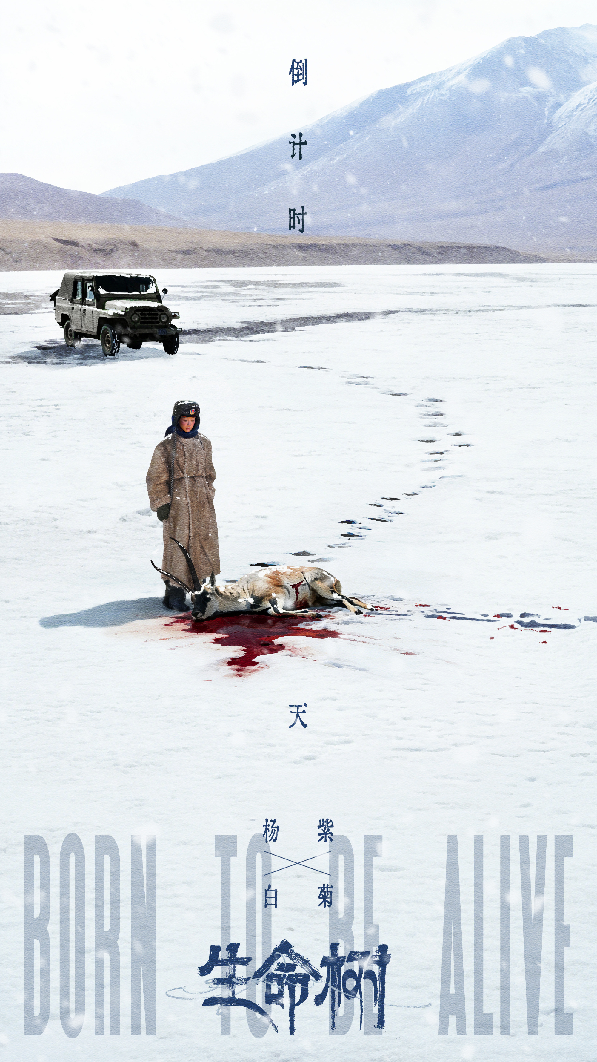 电视剧生命树 倒计时一天啦！ 