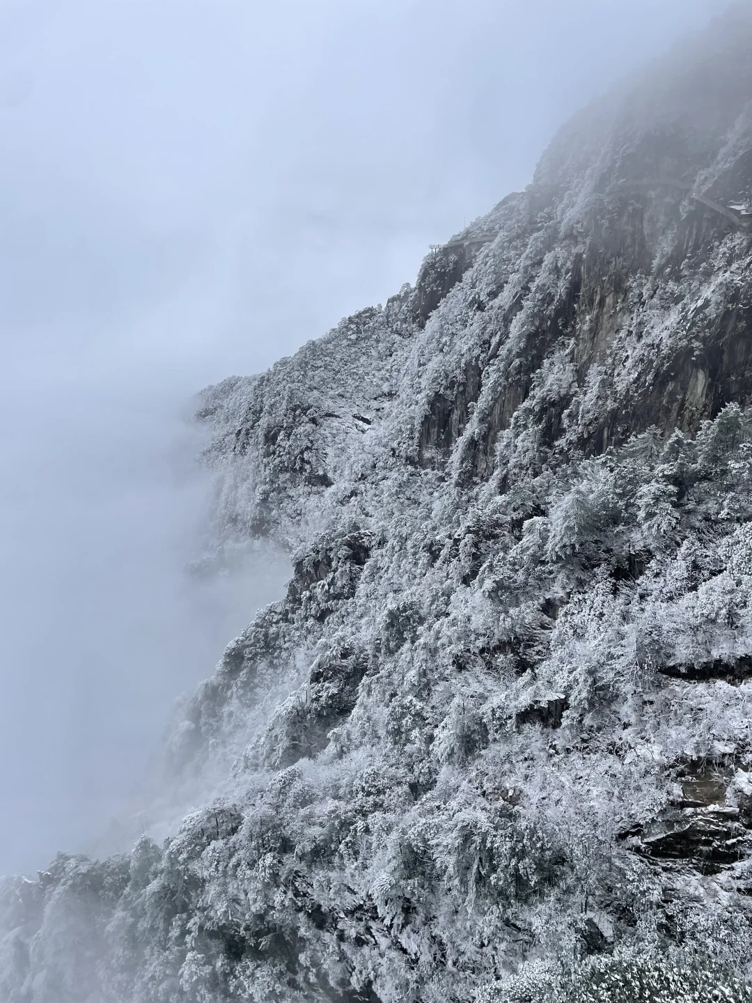 绝美！明月山的雪景持续放送，速来打卡！