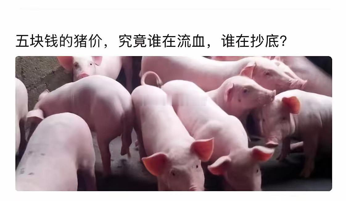 猪周期下破5元每斤，回到了21年前的2004年的起点！是机会还是陷阱！从10月底