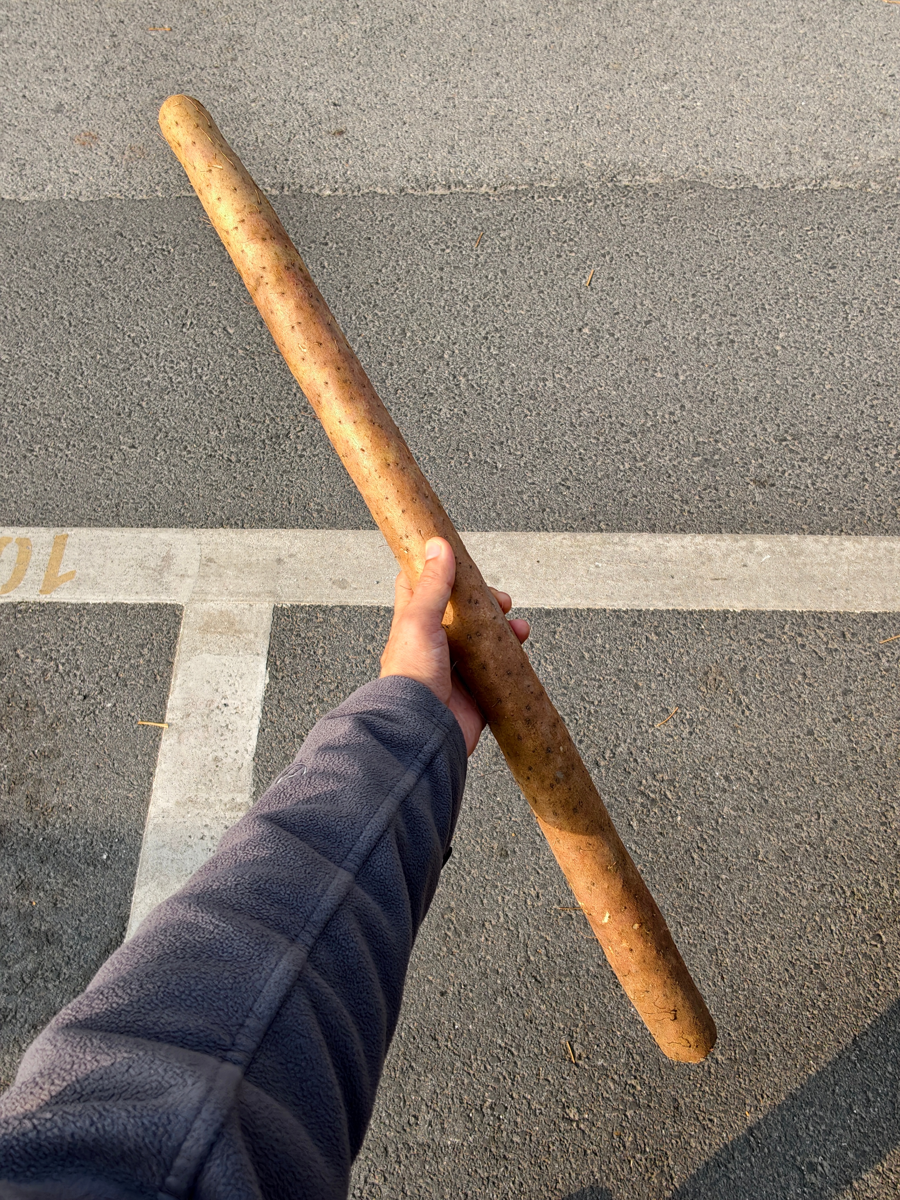 第一次见这么粗的山药