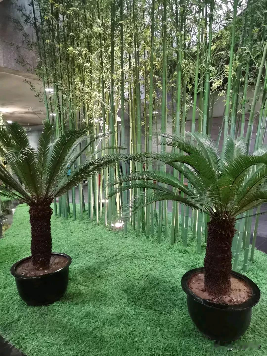 人生总是有起有落，每个人都难免会遇到低谷，但决定一个人能达到什么高度的，恰恰是他