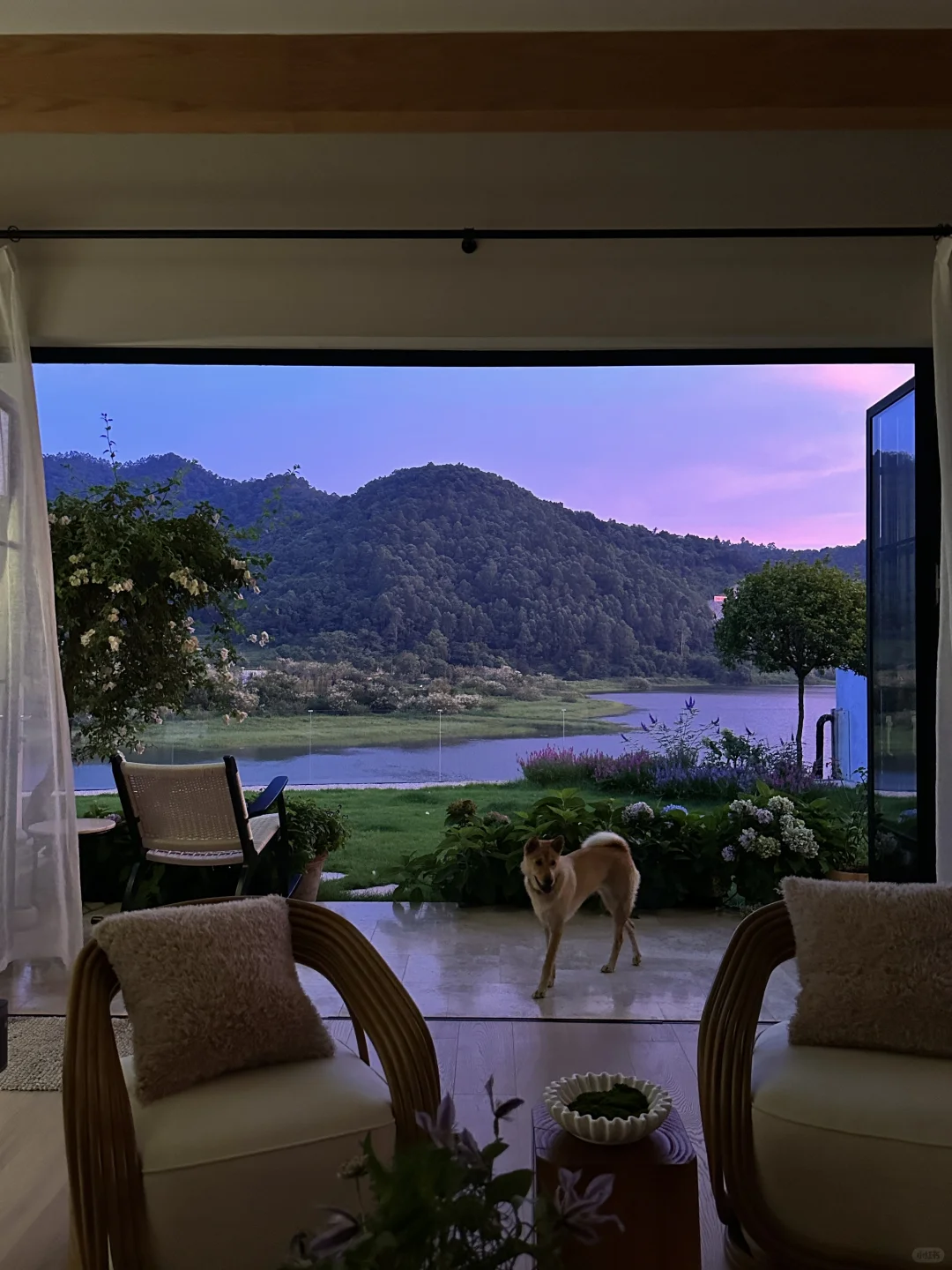 🏡立秋的家，有点不像话！