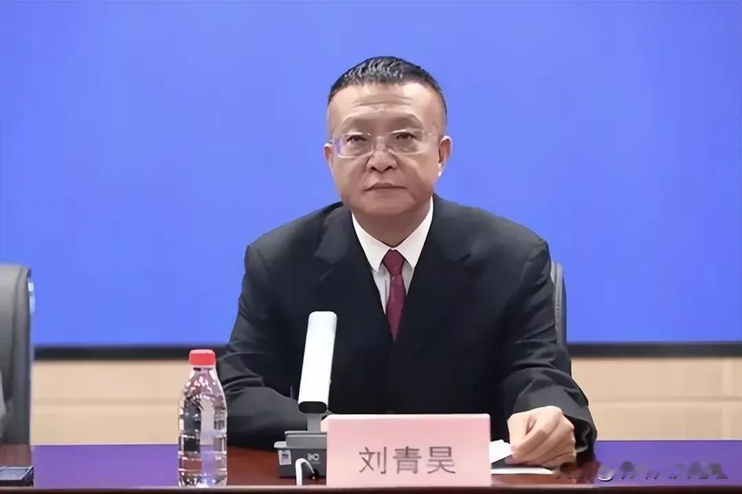 曾经担任南京市直部门正局级职务的刘青昊履历一直在规划系统，但仕途经历跨越南京几大