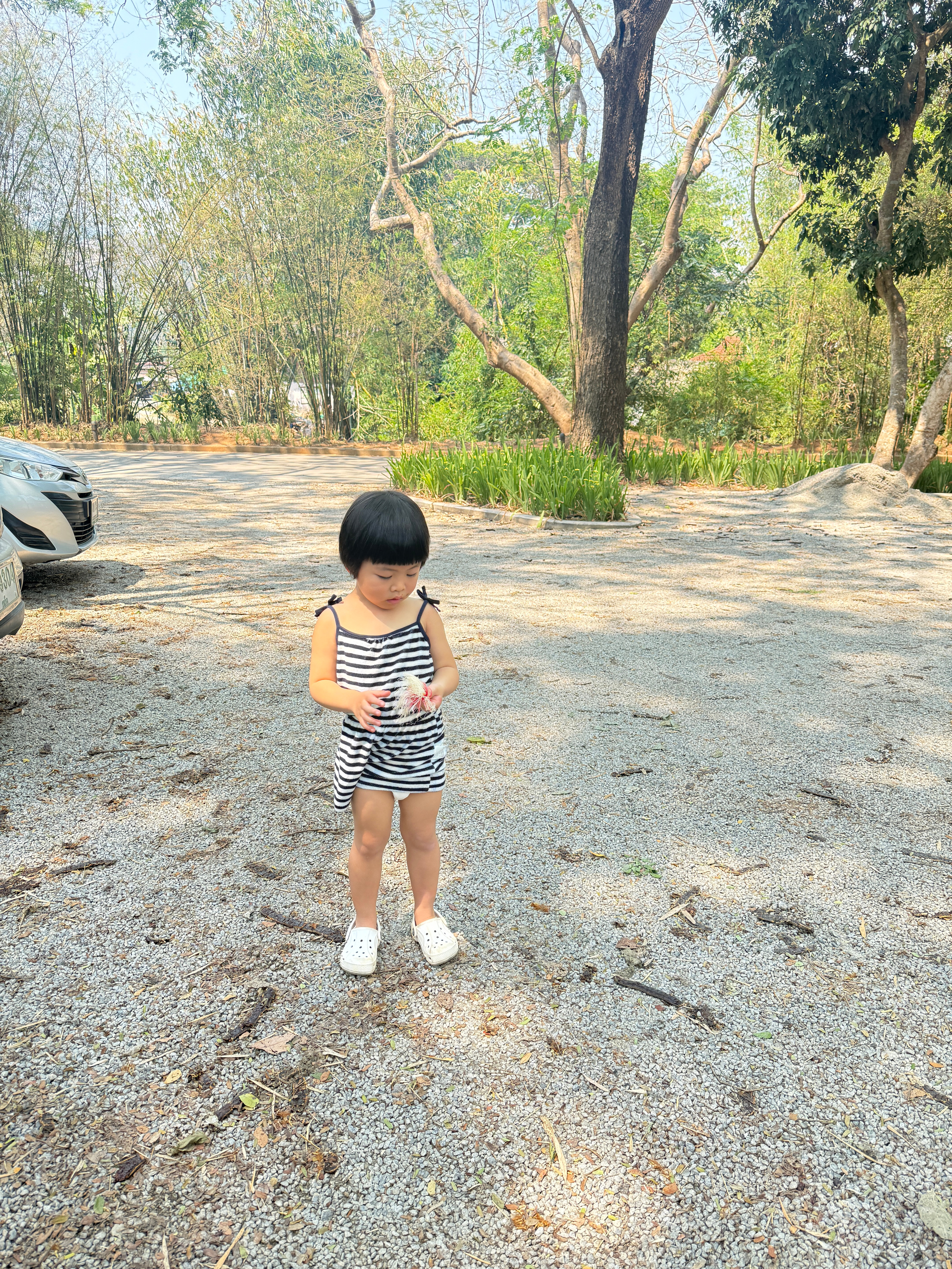 出来的路上在走廊pia了一跤，旅蛙很困惑，说鞋子穿反了嘛？我观察说没有啊？没穿反