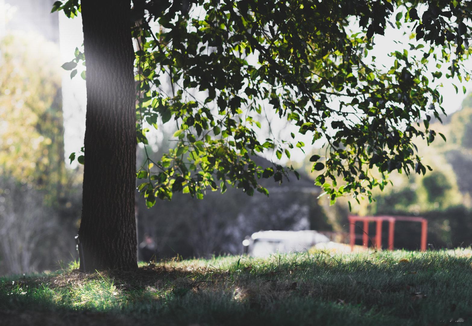 张凌赫交摄影作品了张凌赫晒出一组摄影新作，黑白光影勾勒出楼梯与窗的静谧，绿植、树