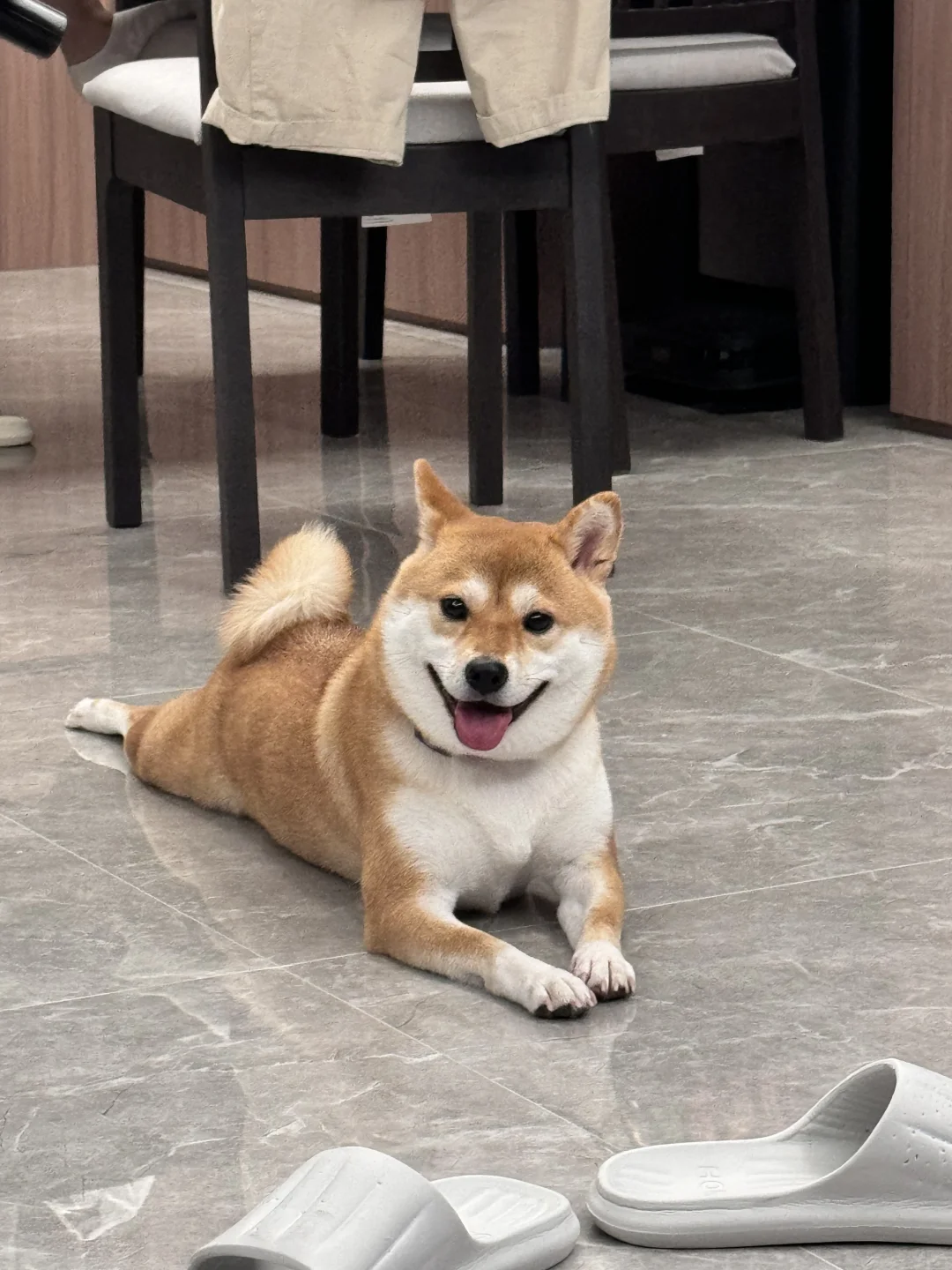 忍不住一直拍她