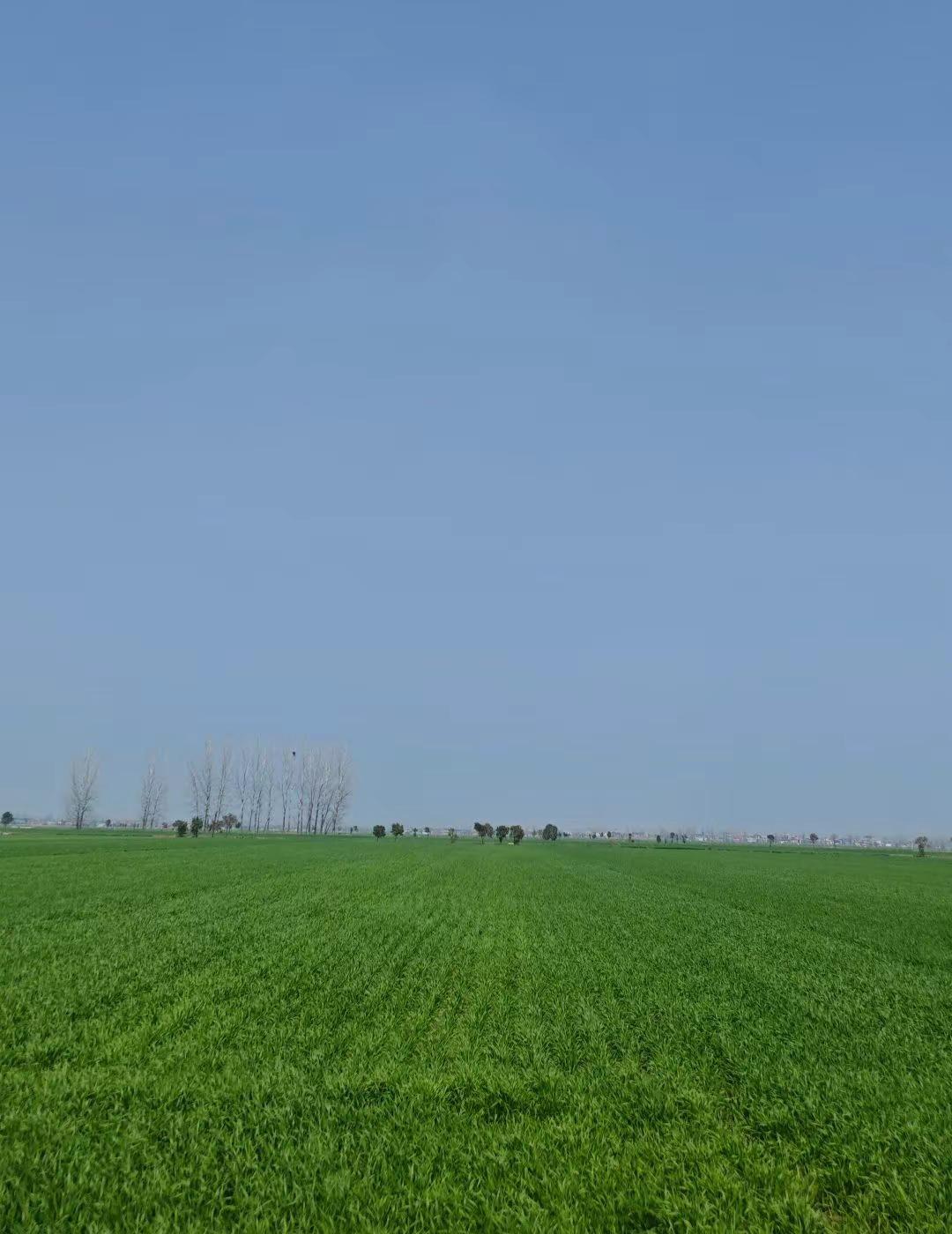 其实最美的风景也不在远方，而是在你愿意停下脚步去发现的身边。 心若安宁，处处皆是