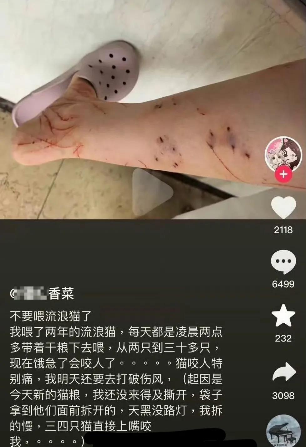 我有点幸灾乐祸。祸害，一看此人标签，拳师，不知道这些猫有没有狂犬病！