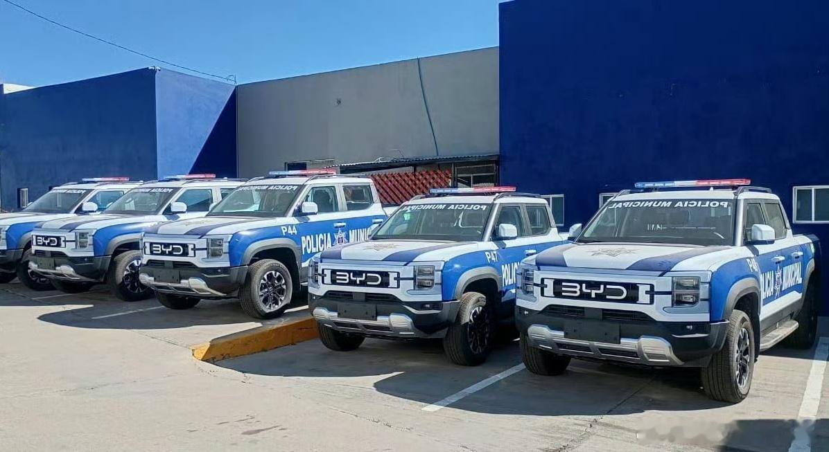 海外公务车市场现在刮起中国风，比亚迪这波“国际编制”拿得太硬核了！以前海外公务车