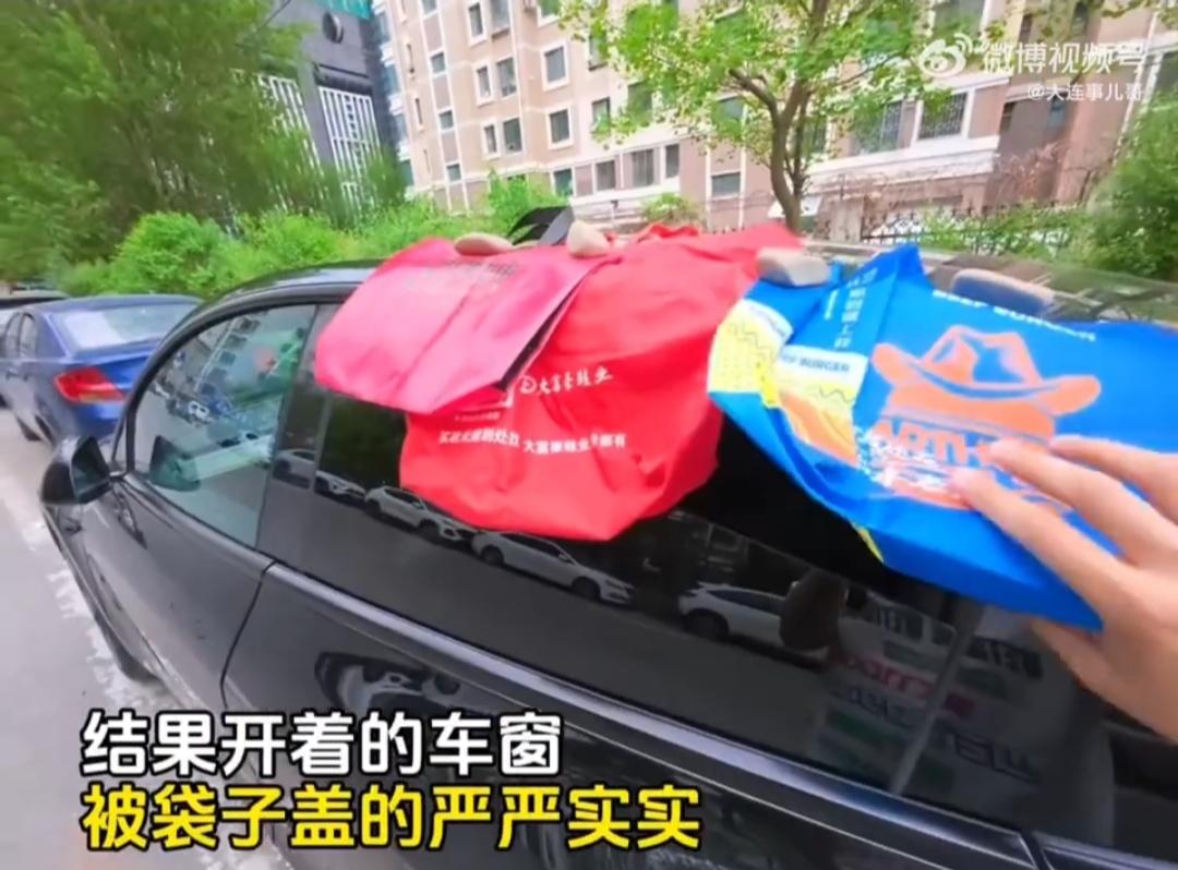这事儿看完直戳心窝子！沈阳街头这场双向奔赴，连人民日报都忍不住为它点赞！
 
就